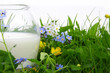 verre de lait,fresh milk