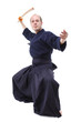 Kendo fighter