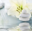 Spa concept