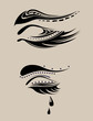 Long eyelashes , eyebrow, tear drop - for beauty salon