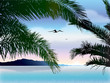 Tropical landscape: dusk Tropical landscape: dusk