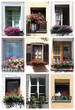 Windows