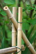 Bout de barrière en bambou Bout de barrière en bambou