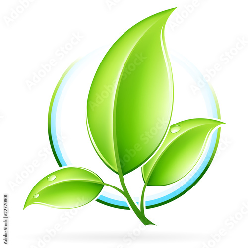 ECO icon