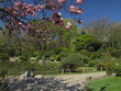 Jardin Japonais Jardin Japonais