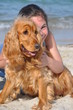 fillette et son chien cocker spaniel anglais sur la plage fillette et son chien cocker spaniel anglais sur la plage
