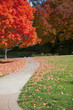 Photo: Autumn path Autumn path
