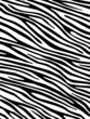 Zebra background