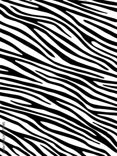 desktop wallpaper zebra. Zebra background