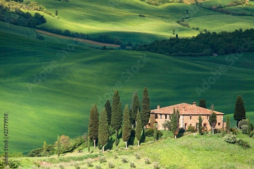 Photo : Tuscany landscape - belvedere Tuscany landscape - belvedere