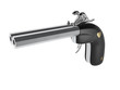 gun