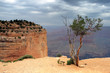 Grand Canyon National Park, USA.. Grand Canyon National Park, USA..