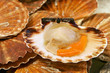 Capasanta