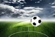 Fussball 2010