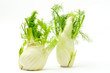 Fenchel