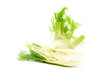 Fenchel