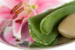 Foto: Wellness Wellness