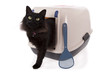 Photo en ligne au meilleur prix Cat using a closed litter box isolated on white background