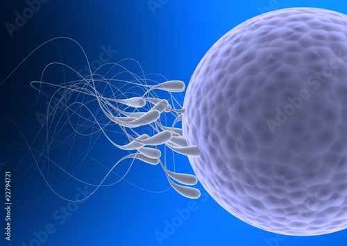 Illustration: 3d illustration of spermatozoon fecundating an ovule 3d illustration of spermatozoon fecundating an ovule