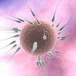 3d illustration of spermatozoon fecundating an ovule