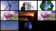 Video: Ecology concept Ecology concept