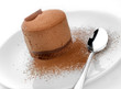 Rich chocolate torte sprinked with cocoa