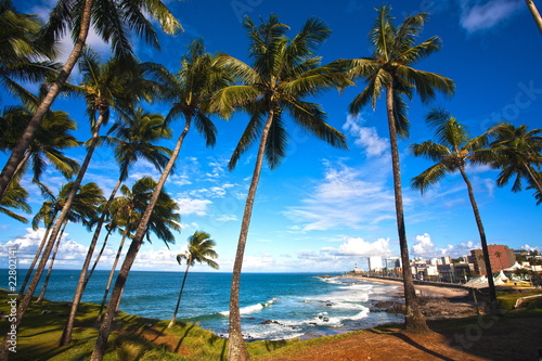 Photo: barra beach salvador of bahia barra beach salvador of bahia