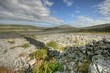 Irish Stone Desert Irish Stone Desert