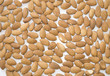 Background from nut. Almonds.