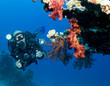 Photo: underwater camera man underwater camera man