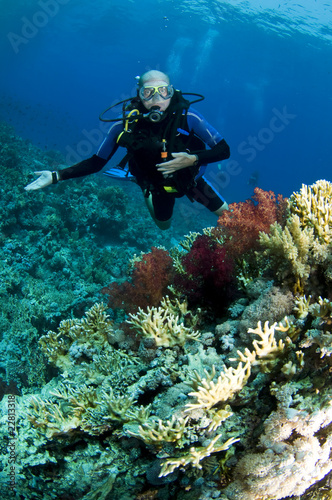 Photo: scuba diver on coral reef scuba diver on coral reef