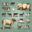 farm animals vintage set (vector)