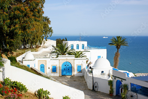 Foto: village de sidi bou said village de sidi bou said