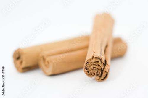 Photo: Cinammon bark cinnamomum zeylanicum Cinammon bark cinnamomum zeylanicum
