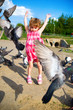 Girl and pigeons