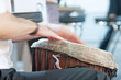 cadence instrument