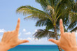 Hands Framing Palm Trees and Tropical Waters Hands Framing Palm Trees and Tropical Waters
