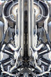 chrome covers