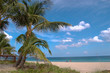 Relaxation on the beach of Miami