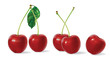 Cherries Cherries