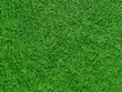 Photo: Rasenfläche Rasenfläche