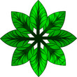 bouton_bio