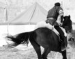 Horseback Archer