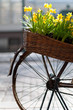 bicycle with flowers