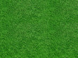 Photo: Rasenfläche Rasenfläche