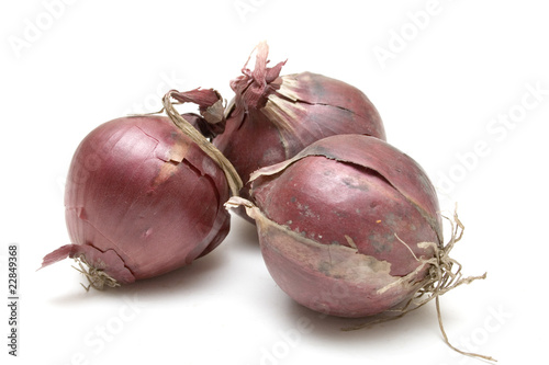 Photo: Organic Red Onions Organic Red Onions