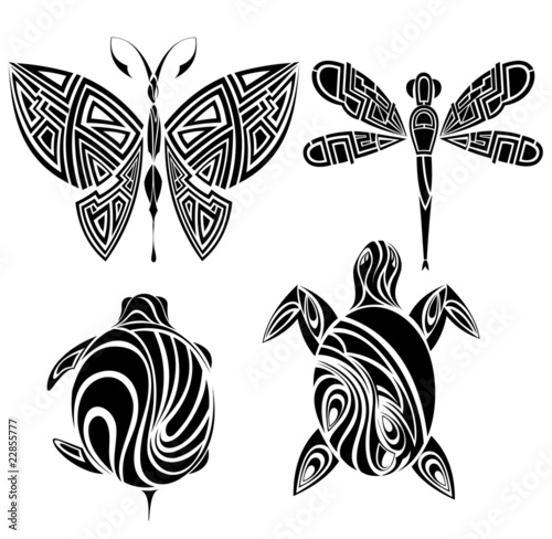 Turtle Tattoo Designs on Tattoo Design  Butterfly  Turtle Dragonfly    Ksysha  22855777   See