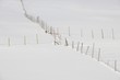 Fenced fields in Ytresand, Moskensoy, Loftofen, Norway