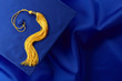Foto: Blue Cap and Gown Blue Cap and Gown