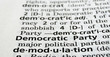 Democratic Party Defined